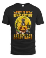 Funny Great Dane Witch Halloween Costume Pumpkin Dog Lover