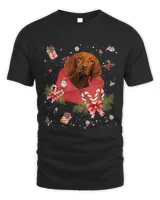 Vizsla Dog In Christmas Card Ornament Pajama Xmas403