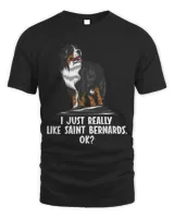 i just really like Saint Bernards Saint Bernard