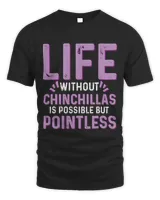Life Without Chinchillas Is Possible But Pointless
