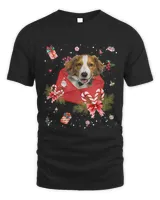 Kooikerhondje Dog In Christmas Card Ornament Pajama Xmas418