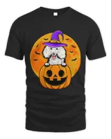 Poodles Halloween Poodle Dog Witch Hat Jackolantern Pumpkin 117 Poodle dog