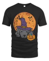 Bully Witch Hat Moon Jack O Lantern Halloween Pittie Dog Pitbull Dog