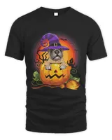 Boxer Witch Pumpkin Halloween Dog Lover Costume Gifts 49 Boxers Dog