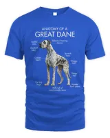 Anatomy Of A Great Dane