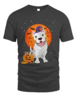 Bully Halloween Costume Pumpkin Pitbull Pitbull Dog