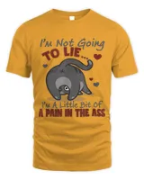 Im Not Going To Lie Funny Sarcastic Men Women Cat Lovers32