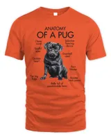 Anatomy Of A Pug