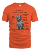 Anatomy Of A French Bulldog