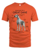 Anatomy Of A Great Dane