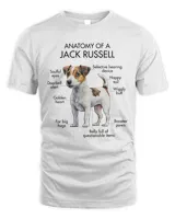 Anatomy Of A Jack Russell