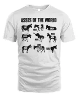 Asses of the world