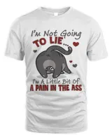 Im Not Going To Lie Funny Sarcastic Men Women Cat Lovers32
