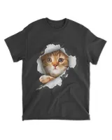 Cat Shirt Orange Cat Torn QTCAT202211010009