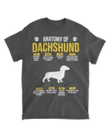Dachshund Dog Anatomy Of A Dachhshund Funny Dog 308 Dog Lover