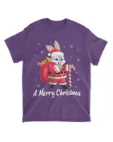 Rabbit Santa Claus Noel Presents Snow A Merry Christmas Day