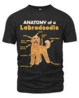 Funny anatomy of a labradoodle for him and her