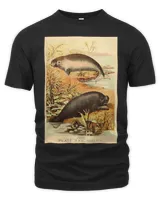 Dugong Manatee Sea Cow Mermaid Vintage Lithograph