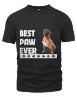 Boxer Best Paw Ever Boxer Bulldog Dad Fathers Day Dog Lovers Boxers Dog