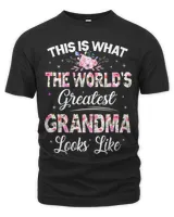 Grandpasaurus Like a Normal Grandpa Only More Rawrsome Famil