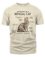 Anatomy Of A Bengal Cat