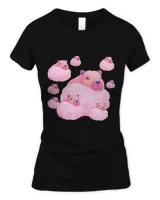 Women's Soft Style Fitted T-Shirt