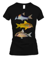 Women's Soft Style Fitted T-Shirt