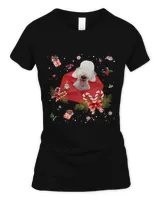 Women's Soft Style Fitted T-Shirt