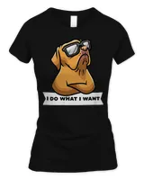 Women's Soft Style Fitted T-Shirt