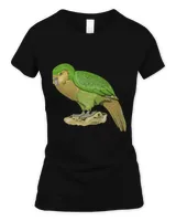 Women's Soft Style Fitted T-Shirt