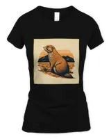 Women's Soft Style Fitted T-Shirt