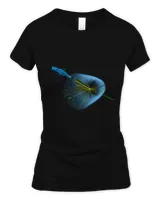 Women's Soft Style Fitted T-Shirt