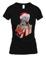 Women's Soft Style Fitted T-Shirt