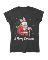 Rabbit Santa Claus Noel Presents Snow A Merry Christmas Day