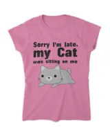 Sorry I'm late Cat QTCAT211122A3