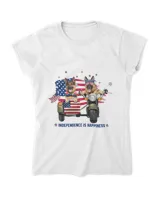 Women's Soft Style Fitted T-Shirt