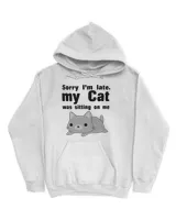 Sorry I'm late Cat QTCAT211122A3