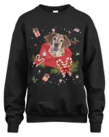 Brittany Dog In Christmas Card Ornament Pajama Xmas445