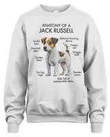 Anatomy Of A Jack Russell