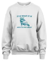 It Is What It Is And It Is Not Great Sweatshirt, Mental Health Sweatshirt, Funny Sweatshirt Women, Meme Sweatshirt, Raccoon Shirt, Gag Tee