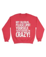 Calculus Youre Deriving Me Crazy 2Funny Calculus Teacher