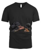 Men's V-Neck T-Shirt