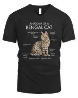 Anatomy Of A Bengal Cat