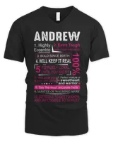 Men's V-Neck T-Shirt