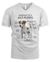 Anatomy Of A Jack Russell