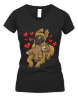 Belgian Malinois Belgian Shepherd Dog With A Heart