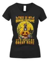 Funny Great Dane Witch Halloween Costume Pumpkin Dog Lover