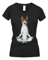 Funny Dog Yoga Rat Terrier