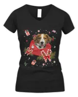 Kooikerhondje Dog In Christmas Card Ornament Pajama Xmas418