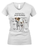 Anatomy Of A Jack Russell